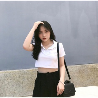 Áo Croptop Cổ Trụ Polo Ngắn Tay Unisex ( 4 màu )