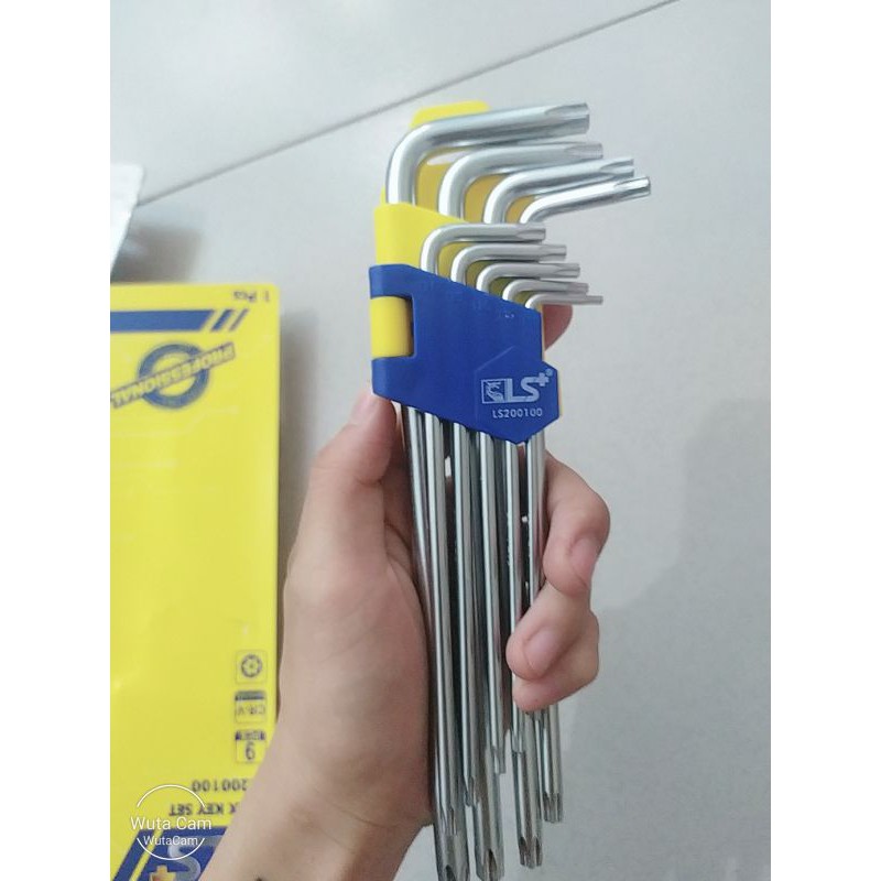 Lục giác hoa thi LS hàng loại đẹp