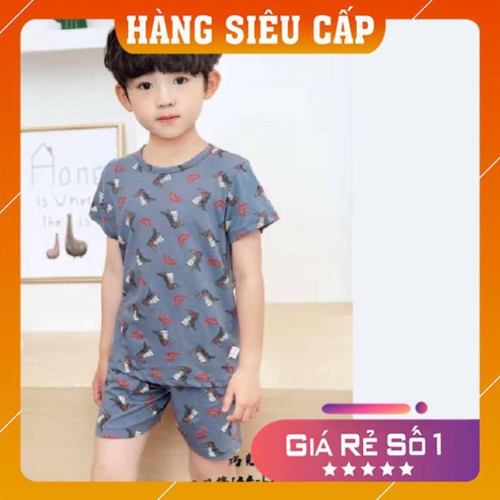 Bộ cotton mùa hè thấm hút mồ hôi họa tiết xuất hàn cao cấp cho bé từ 8 đến 16 kg