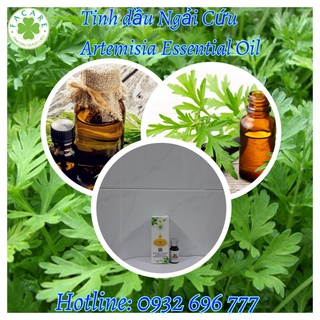 Tinh dầu Ngải Cứu Artemisia Essential Oil - 10ml