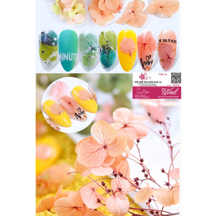 Hoa Khô Lụa Cánh To Ẩn Gel, Ẩn Bột - Phụ Kiện Trang Trí Móng Nail Art