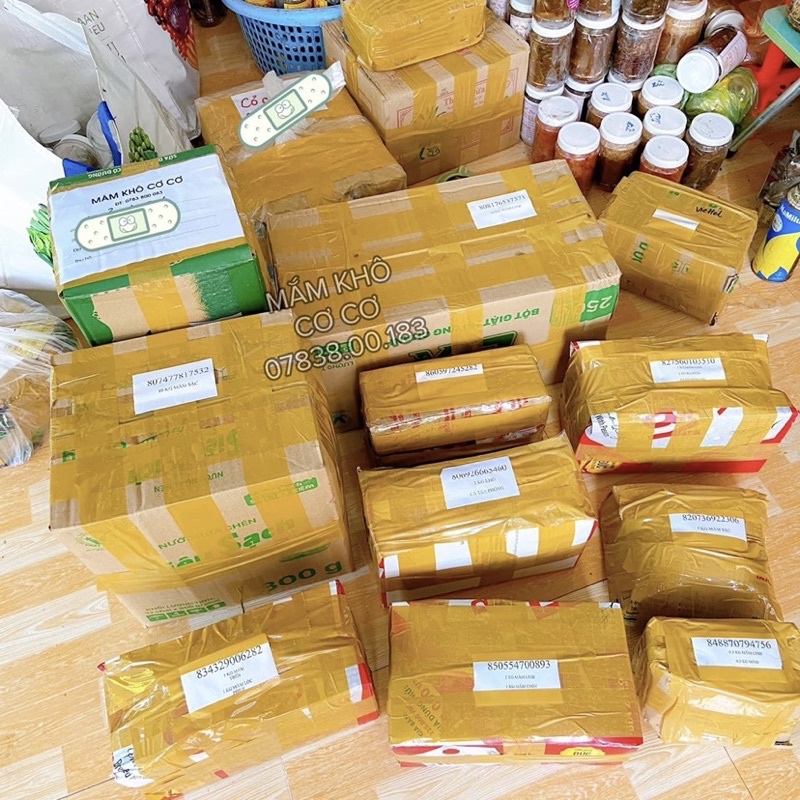ĐU ĐỦ - DƯA LEO - DƯA GANG | BigBuy360 - bigbuy360.vn