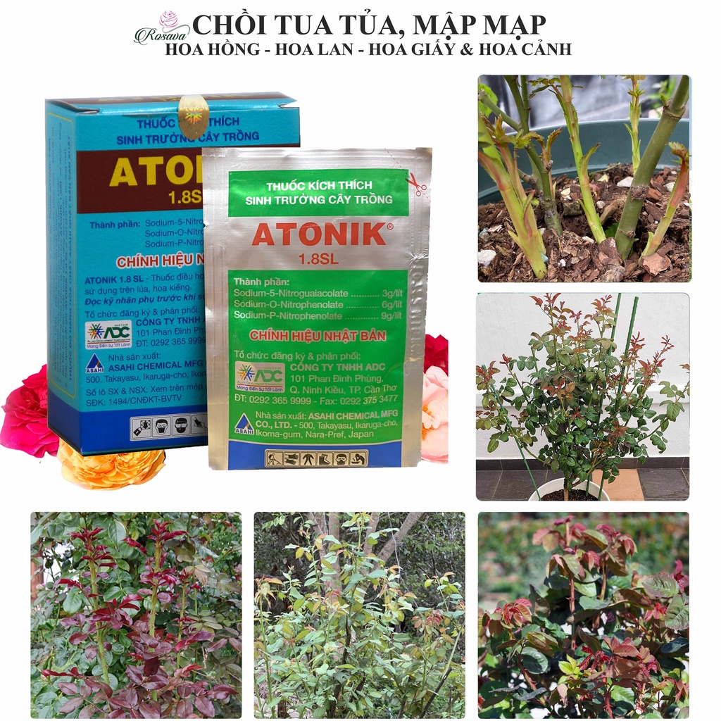 Thuốc kích rễ atonik cho cây, phân bón lá kích thích sinh trưởng cực mạnh lan, hoa hồng, giấy, sen đá