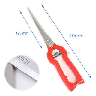 Kéo cắt cành lưỡi dài - K31