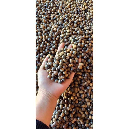 Hạt dẻ rừng . 100% thiên nhiên. Siêu ngon | BigBuy360 - bigbuy360.vn