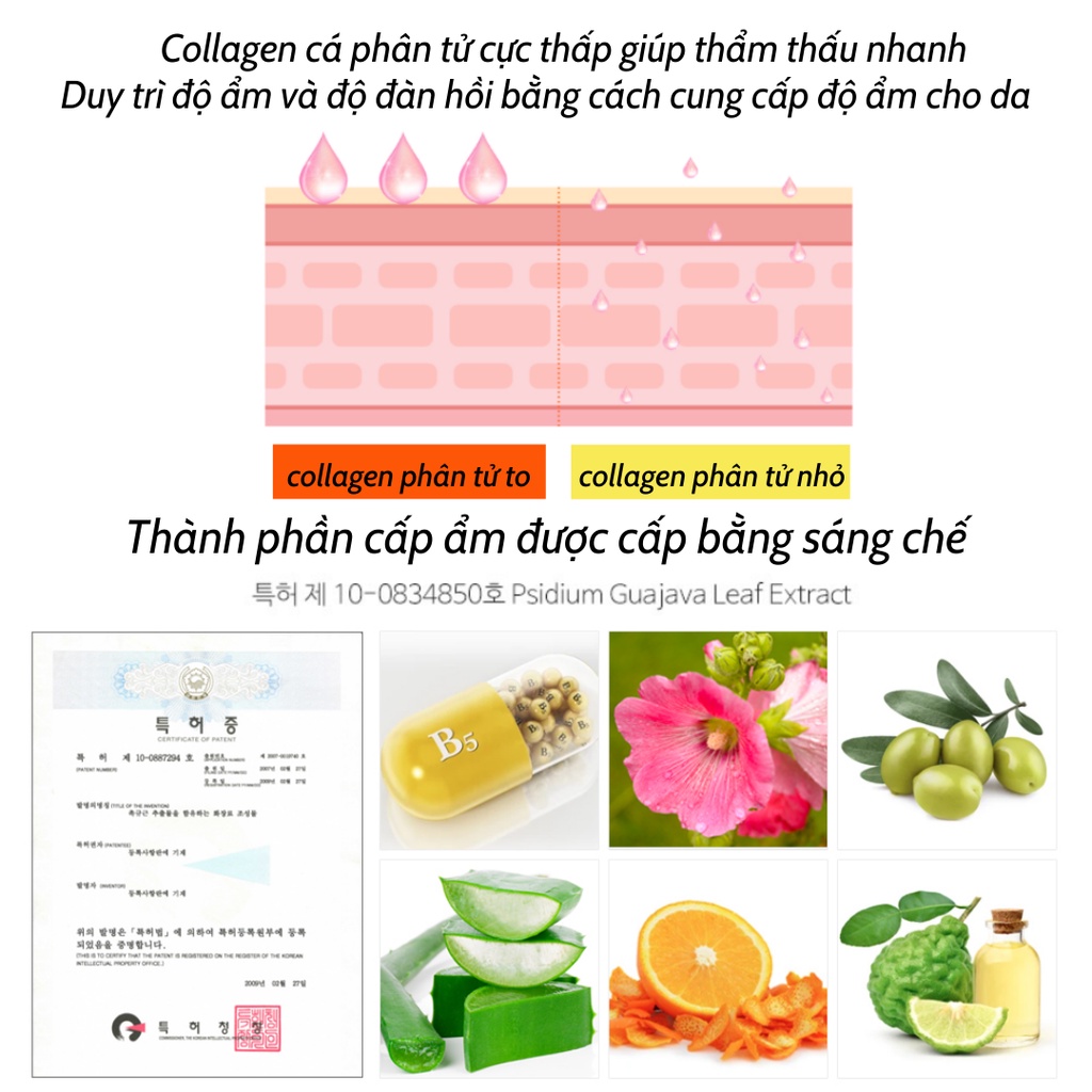 Kem Dưỡng Trắng Ban Đêm Siskeli Collagen V10 55ml - KOBE YOUNG
