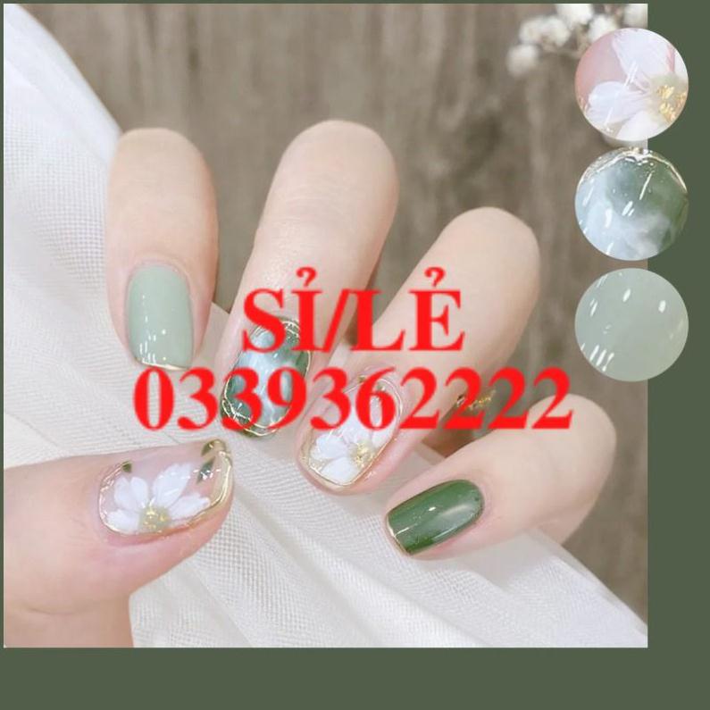 [ CHÍNH HÃNG ] Hộp 24 bộ móng giả cao cấp tặng kèm keo Sena Beauty Nail