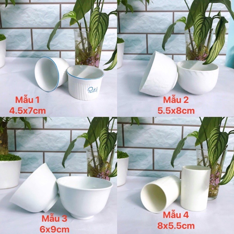 Ly gốm sứ trắng