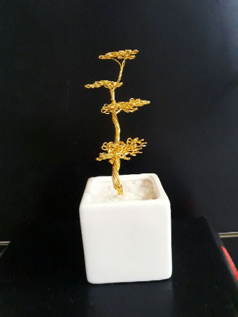 Cây bonsai handmade mini để bàn.