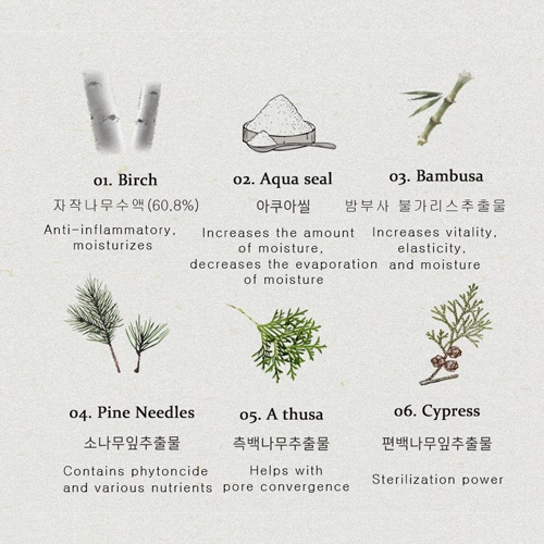 Nước cân bằng da & Kem dưỡng ẩm VIVID GLOSSY  Tea Tree Calming & Moisture Toner 210ml & Birch Tree Moisture Cream 80ml | BigBuy360 - bigbuy360.vn