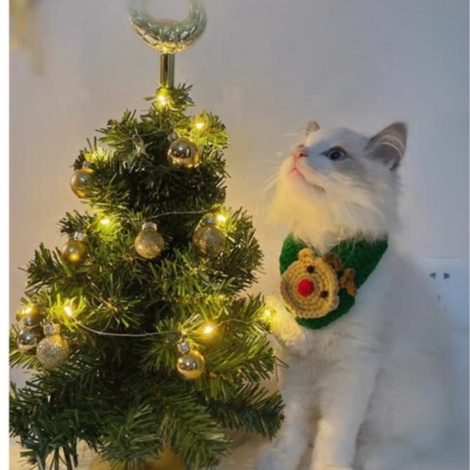 Mũ len và khăn quàng ông già noel và chú tuần lộc xinh xắn đón giáng sinh cho thú cưng