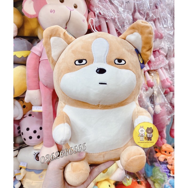 Gấu bông chó Corgi 2 kiểu biểu cảm dễ thương kích thước 35-50-60cm NEOCI