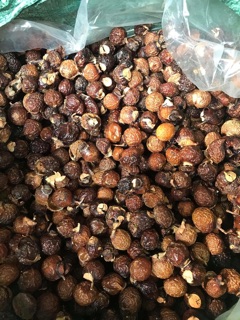 Quả bồ hòn tách hạt 1kg