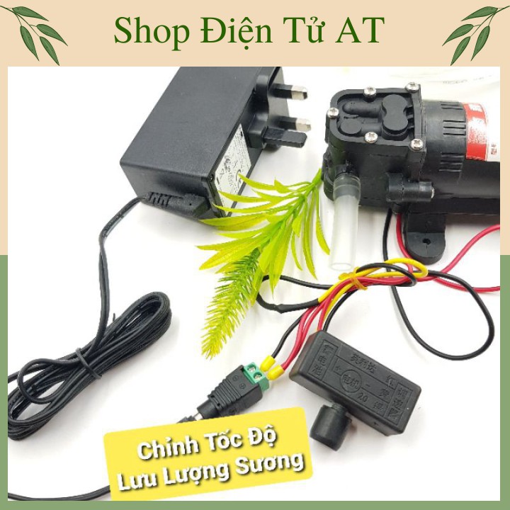 ComBo Máy Bơm Phun Sương Tạo Ẩm DP-521