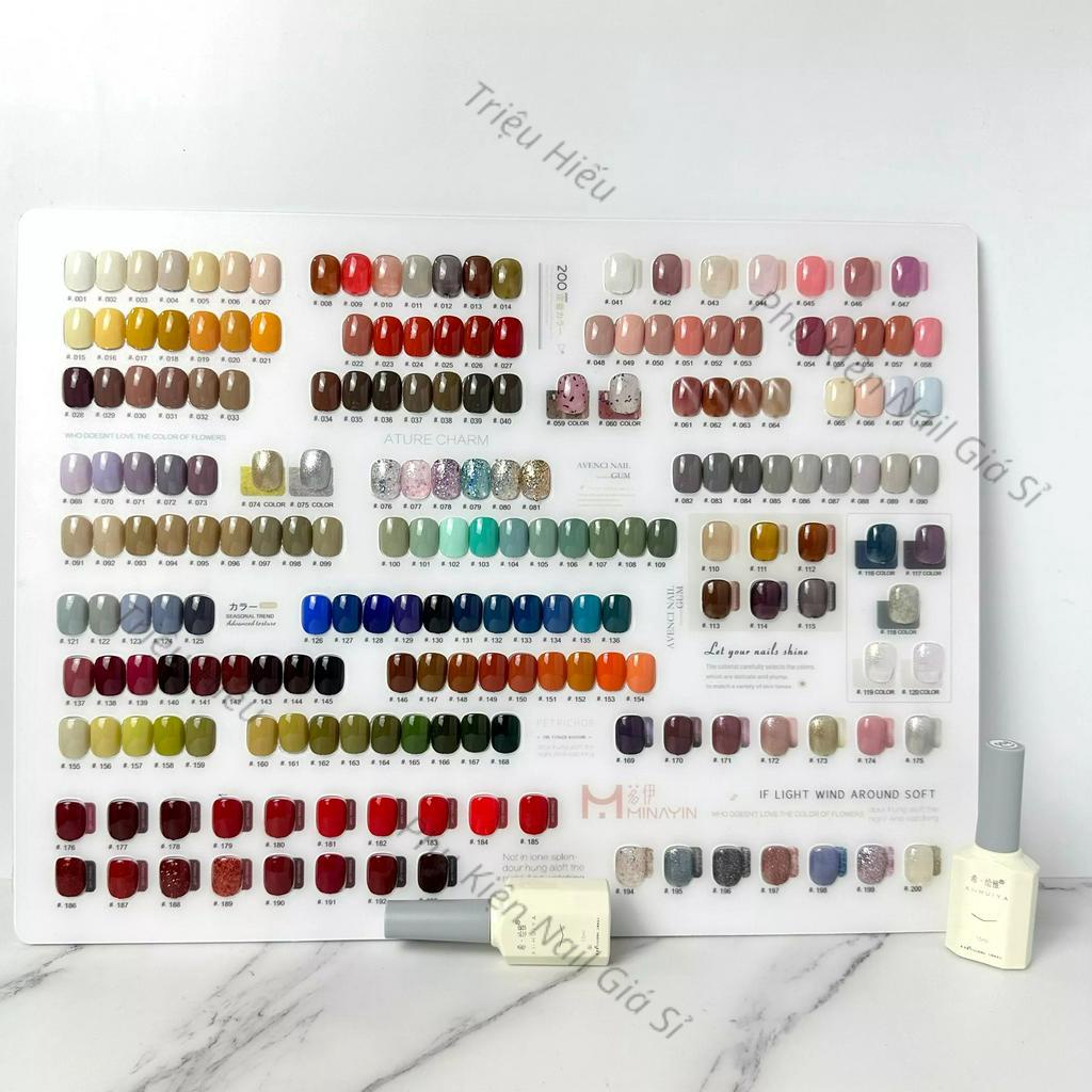 Set sơn 200 màu đủ màu gel thạch nhũ tone Hàn Quốc tặng kèm 2 bảng màu to kèm khung gỗ trưng bày