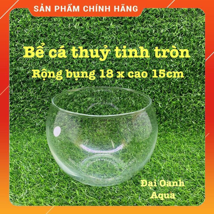 Bể Cá Thủy Tinh Tròn  Bể Cá Để Bàn, Kích Thước Rộng Bụng 19cm x Cao 16cm