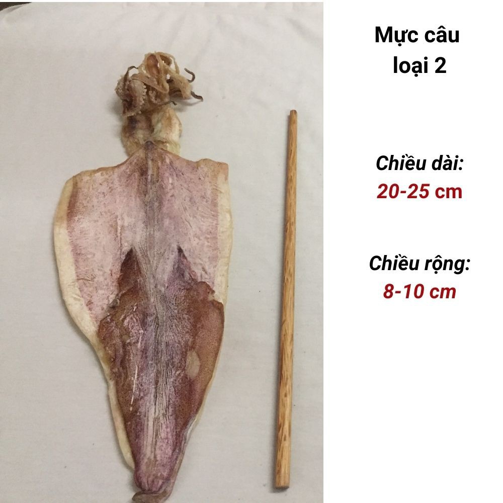 Gói 1 Con Mực Khô Câu Loại 2, Size 15-17Con/kg, Đặc sản Sầm Sơn