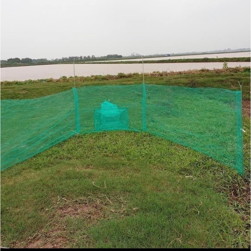 DỚN CHẶN SÔNG