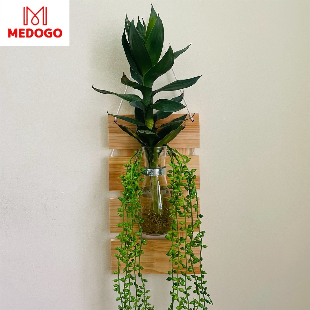 Bộ khung gỗ thanh ngang treo lọ thủy tinh trồng cây thủy sinh treo tường trang trí, bảng gỗ treo tường MEDOGO