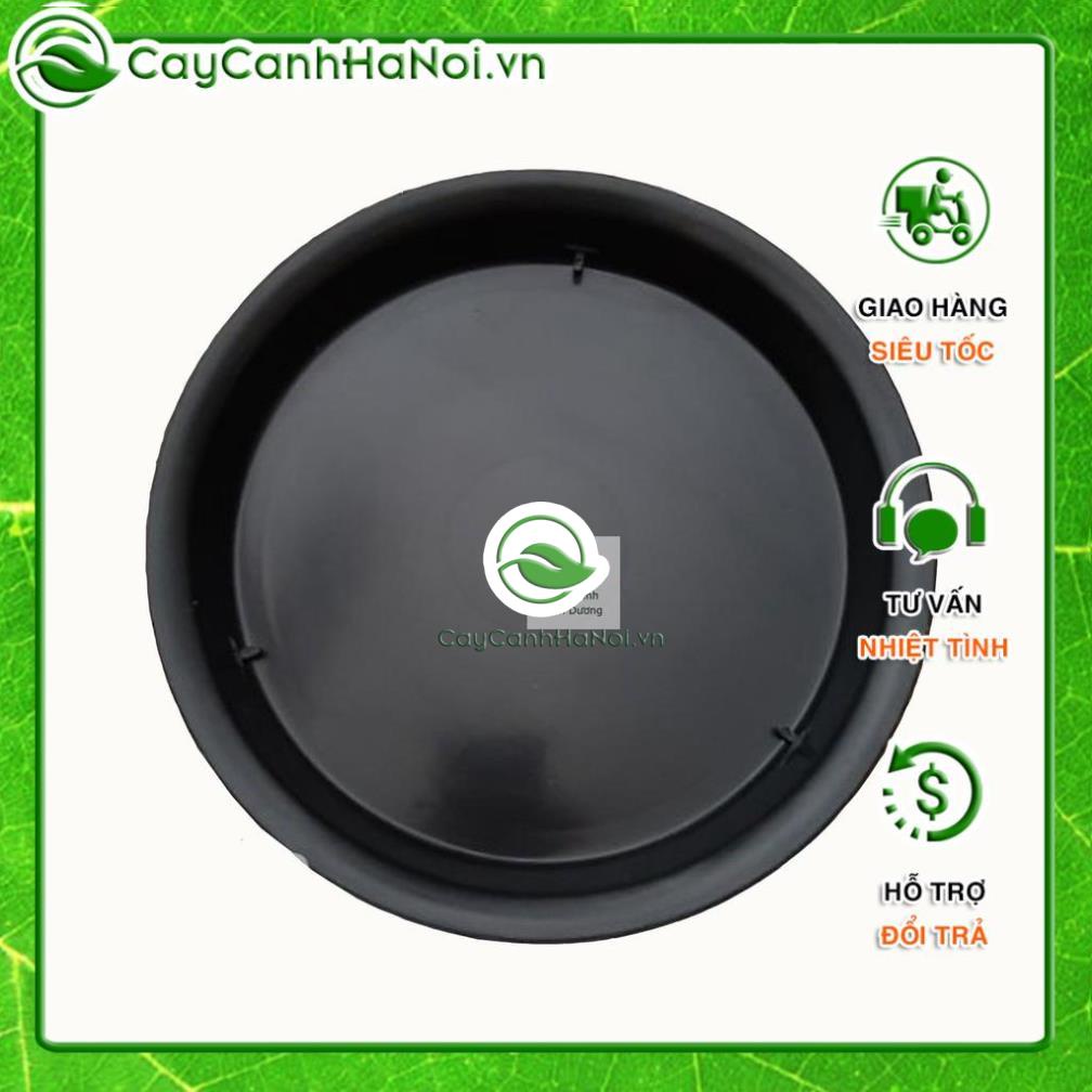 Đĩa lót chậu tròn màu đen, đế lót chậu trồng cây nhựa dày bền đẹp nhiều kích thước 🌱