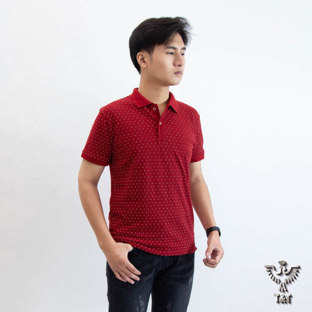áo thun nam áo polo nam có cổ tay ngắn chất cotton co dãn thoáng mát kiểu dáng công sở PL204