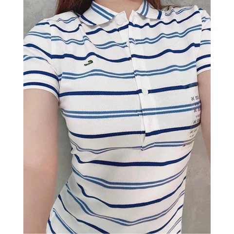 ÁO POLO NỮ KẺ NGANG 0402AP