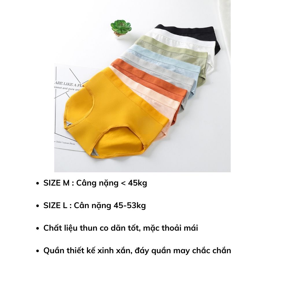 Quần lót nữ kháng khuẩn cạp vừa siêu co dãn tôn dáng gợi cảm DOPICO a06