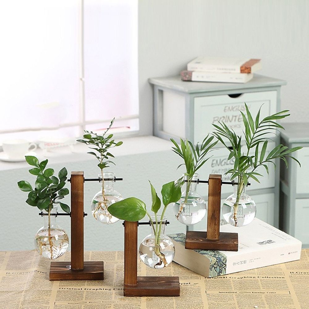 Chậu kính trồng cây thủy sinh khung gỗ để bàn trang trí nhà cửa