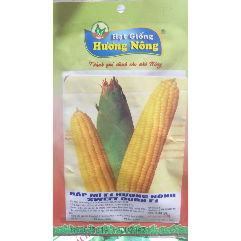 Hạt Giống Ngô Ngọt (Bắp Mỹ) 20g