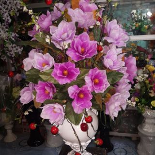 Cành Hoa mộc lan