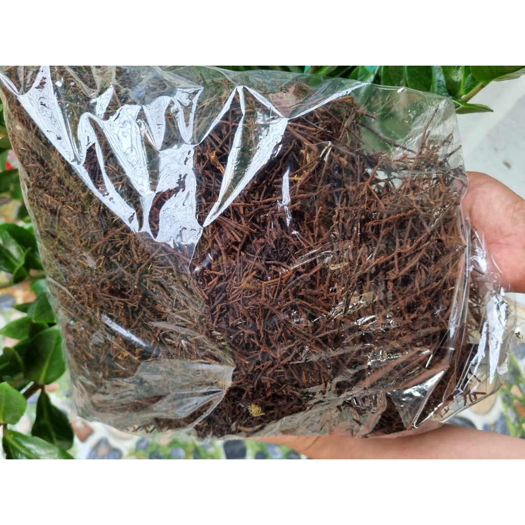Một bao Giá thể dớn cọng chuyên dùng rải bề mặt giữ ẩm cho cây lan phát triển tốt bì  1KG