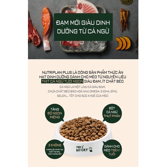 Hạt thức ăn cho mèo Nutri Plan All Stage cho mèo mọi lứa tuổi