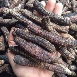 Chuối hột rừng nguyên quả Tây Nguyên 1 kg