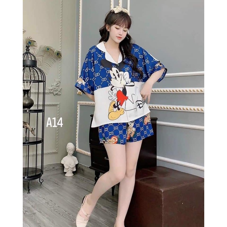 Set tay dơi quần đùi hình to mẩu201