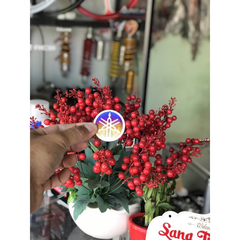 logo yamaha titan cỡ lớn