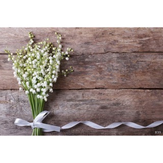 Vải 3d chụp ảnh sản phẩm kt 50*75cm