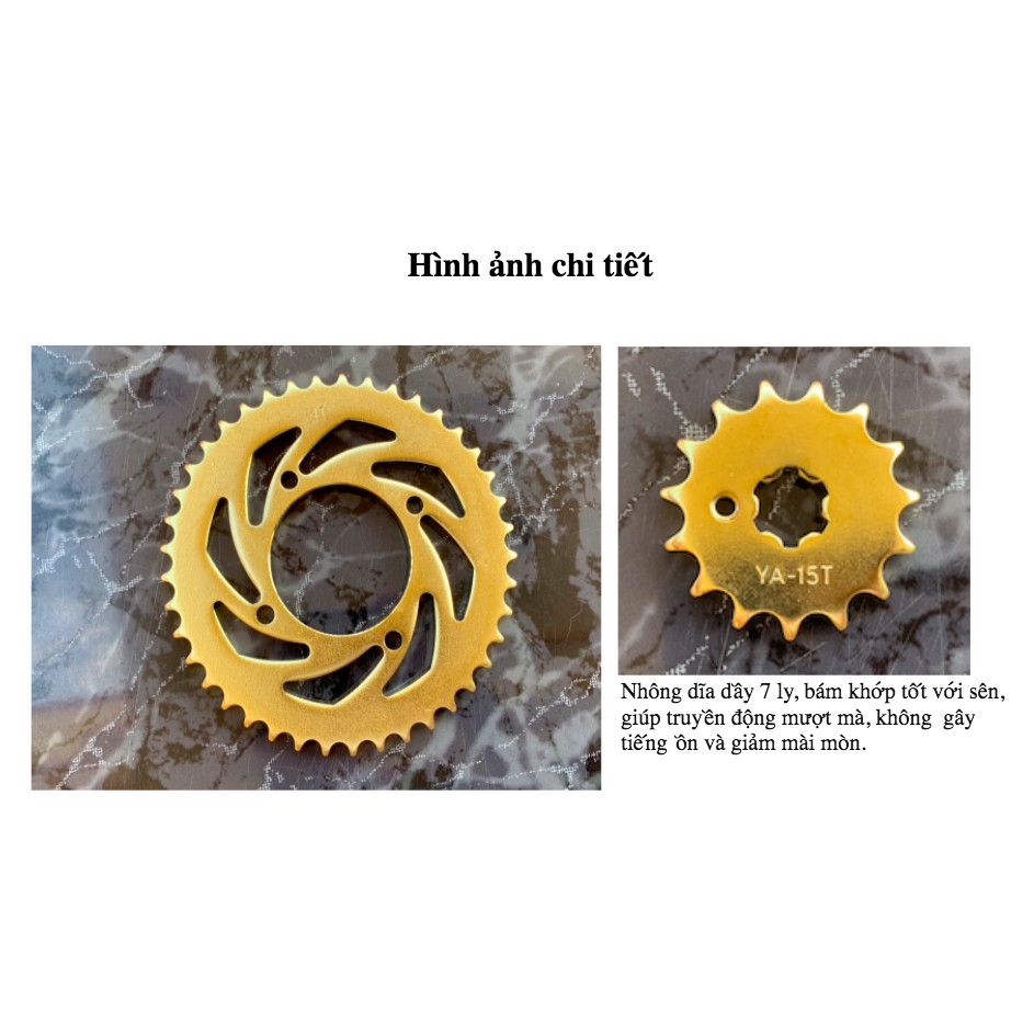 NHÔNG SÊN DĨA TAURUS VÀNG