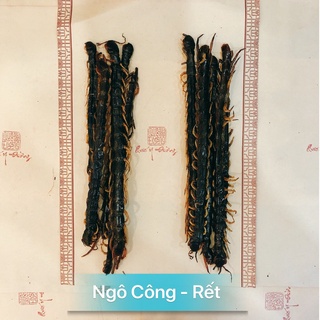  10gr Ngô Công (14cm-18cm)
