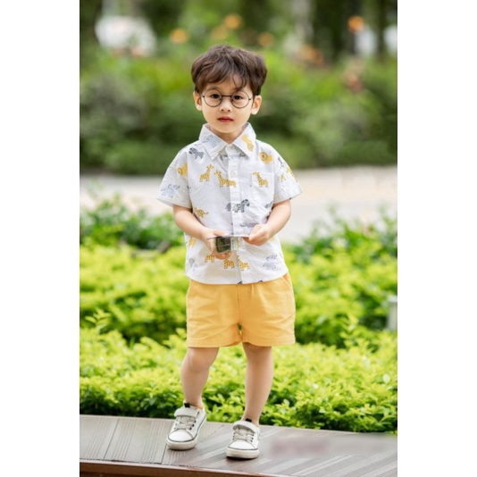 SÉT BỘ BÉ TRAI ,SƠ MI HỌA TIẾT VOI SƯ TỬ CÁ SẤU MIX QUẦN THÔ ĐŨI SIÊU ĐẸP