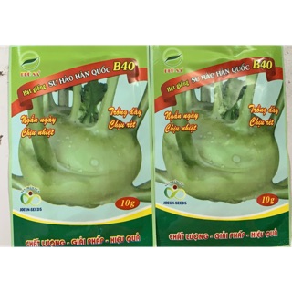 HẠT GIỐNG SU HÀO HÀN QUỐC B40