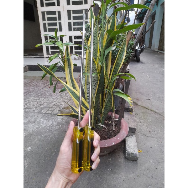 TU VÍT ANTON_USA CAO CẤP DÀI 40CM