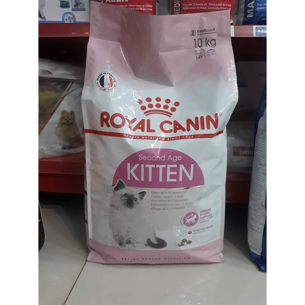 [CHÍNH HÃNG] [DATE XA]  Hạt Mèo Con Cao Cấp Royal Canin Kitten Dinh Dưỡng Cân Bằng Bao Xá 10Kg