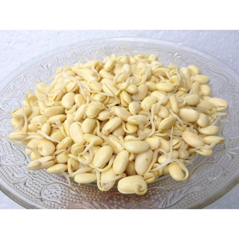 500gr Mầm đậu nành Nguyên xơ GT063
