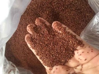 Mask hạt ngũ hoa hạt 100g