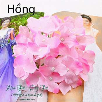 Hoa Giả - Đầu Bông Hoa Cẩm tú Cầu