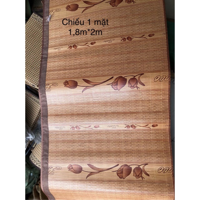 Chiếu trúc nằm 1 mặt gập đôi