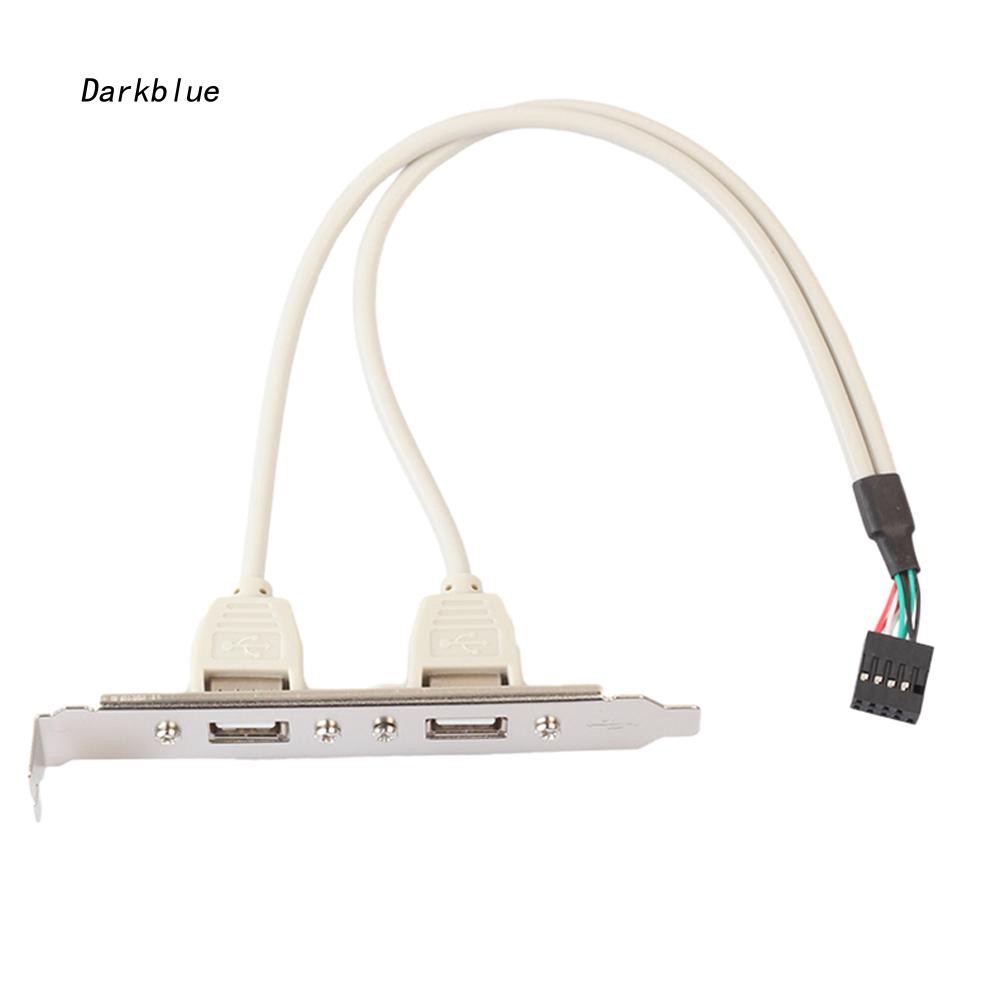 Cáp chuyển đổi dkbl _ 30cm 9 Pin Female sang Dual Port USB 2.0A Female