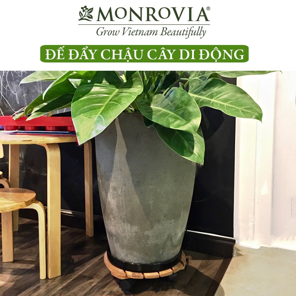 Đế lót chậu cây có bánh xe MONROVIA, đế để chậu cây, kệ giá đỡ chậu hoa cây cảnh, màu vàng R30 cm, tải 80kg, chính hãng