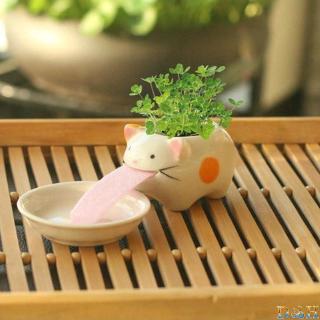 Chậu Hoa Tự Tưới Hình Động Vật Dễ Thương