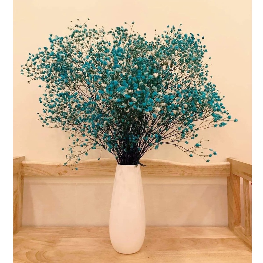 Bó 120gr hoa baby khô decor trang trí nhà cửa, hoa khô trang trí nội thất siêu xinh